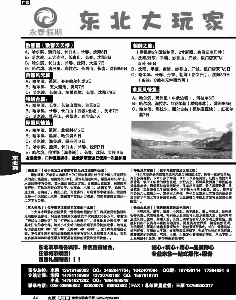 东北大玩家