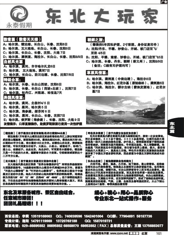 东北大玩家