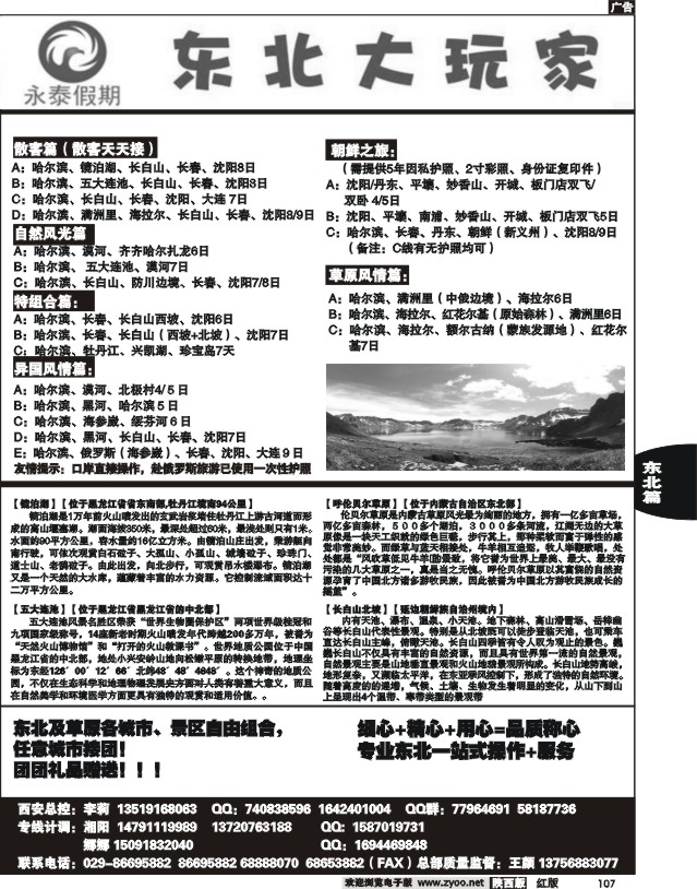 东北大玩家