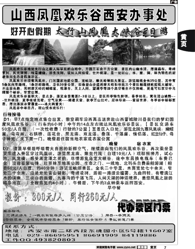 黄7 山西凤凰山西安办事处