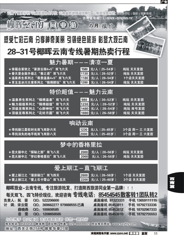 11 云南椰晖