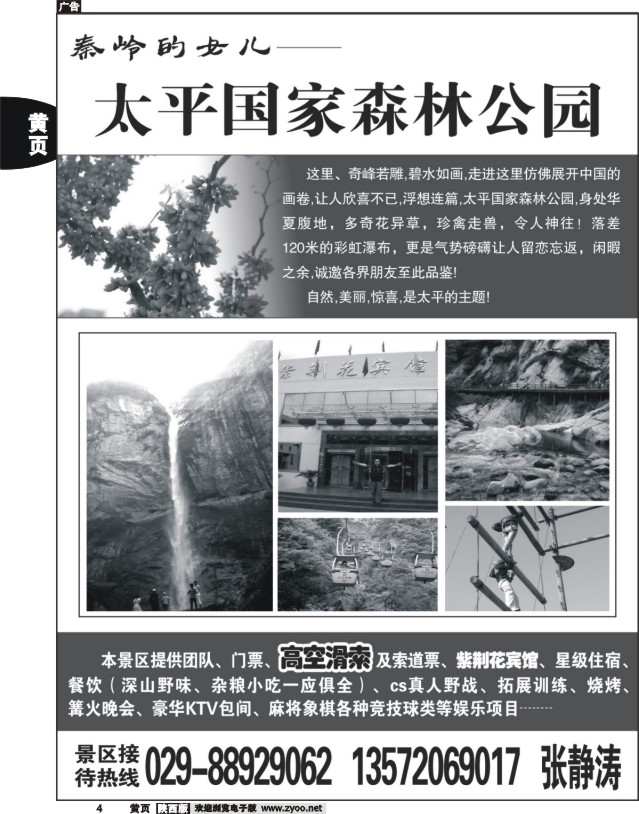 黄4 太平国家森林公园