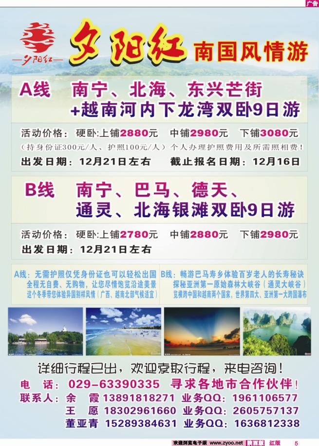 5 夕阳红