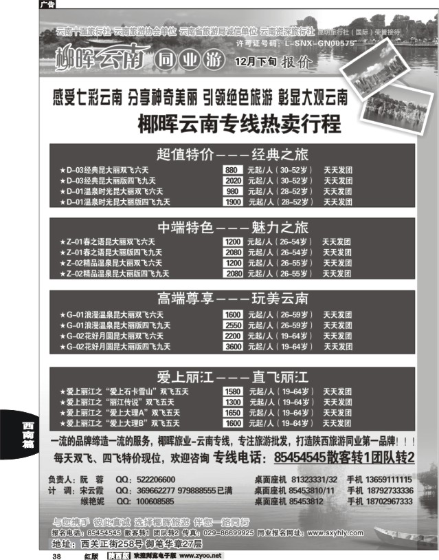 38 云南椰晖