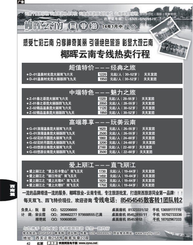 42 云南椰晖
