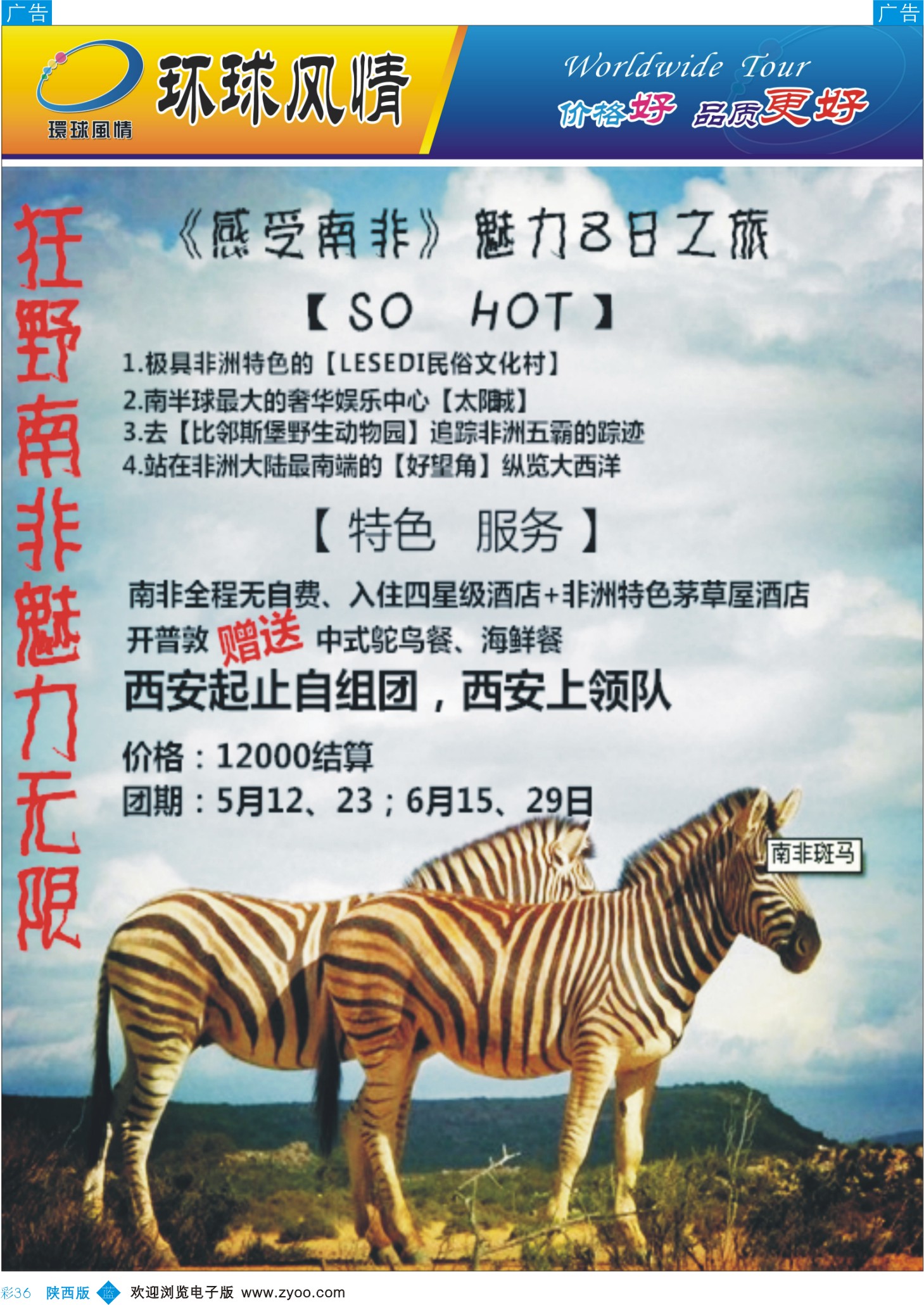 b彩036  康辉-南非斑马