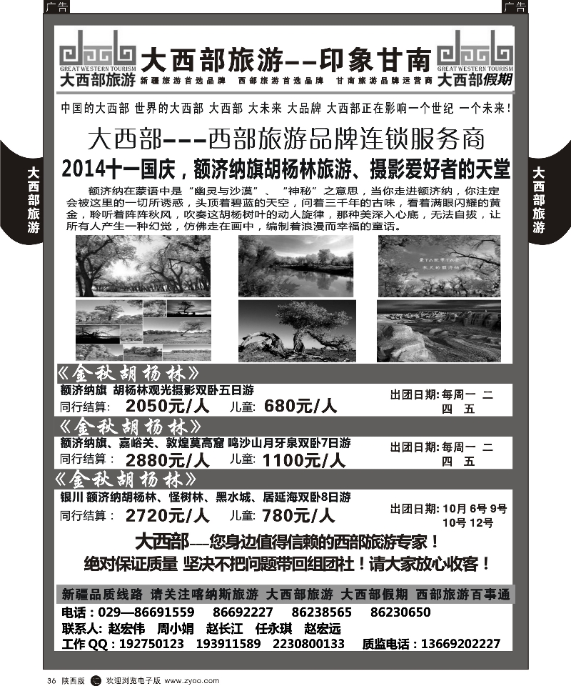 r黑036  大西部旅游-胡杨林
