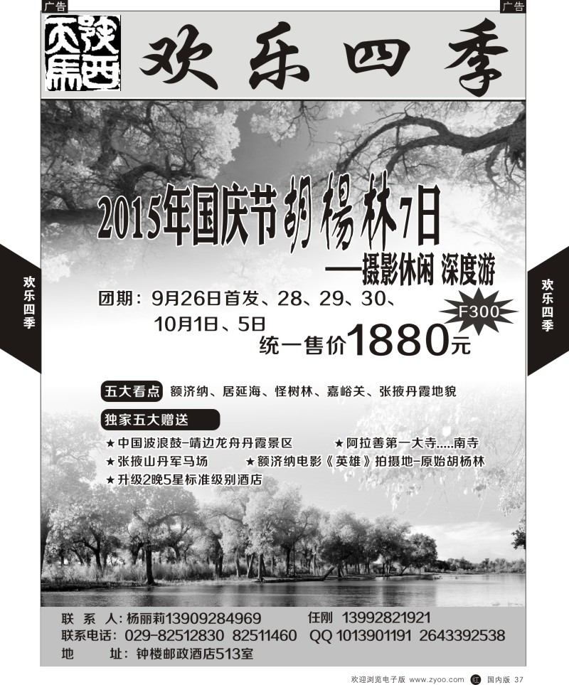 黑037  欢乐四季-胡杨林7日摄影休闲深度游