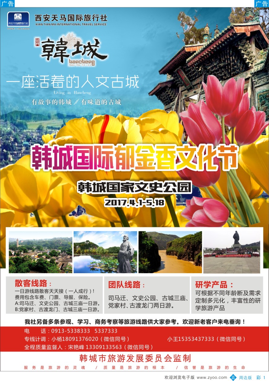 b彩001  韩城国际郁金香文化节