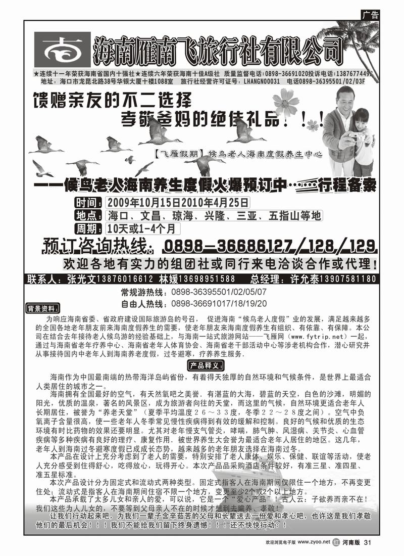 r31海南雁南飞