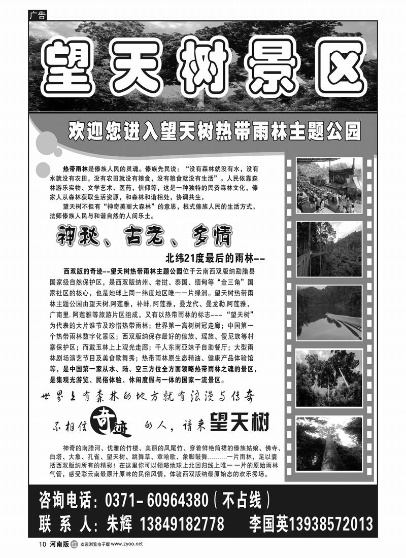 r10云南海外旅游总公司(望天树)2