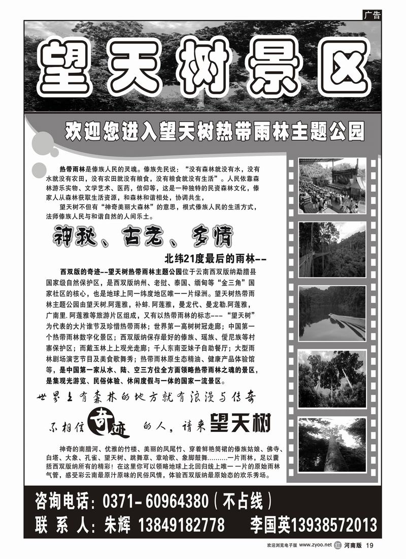 r19云南海外旅游总公司(望天树)3