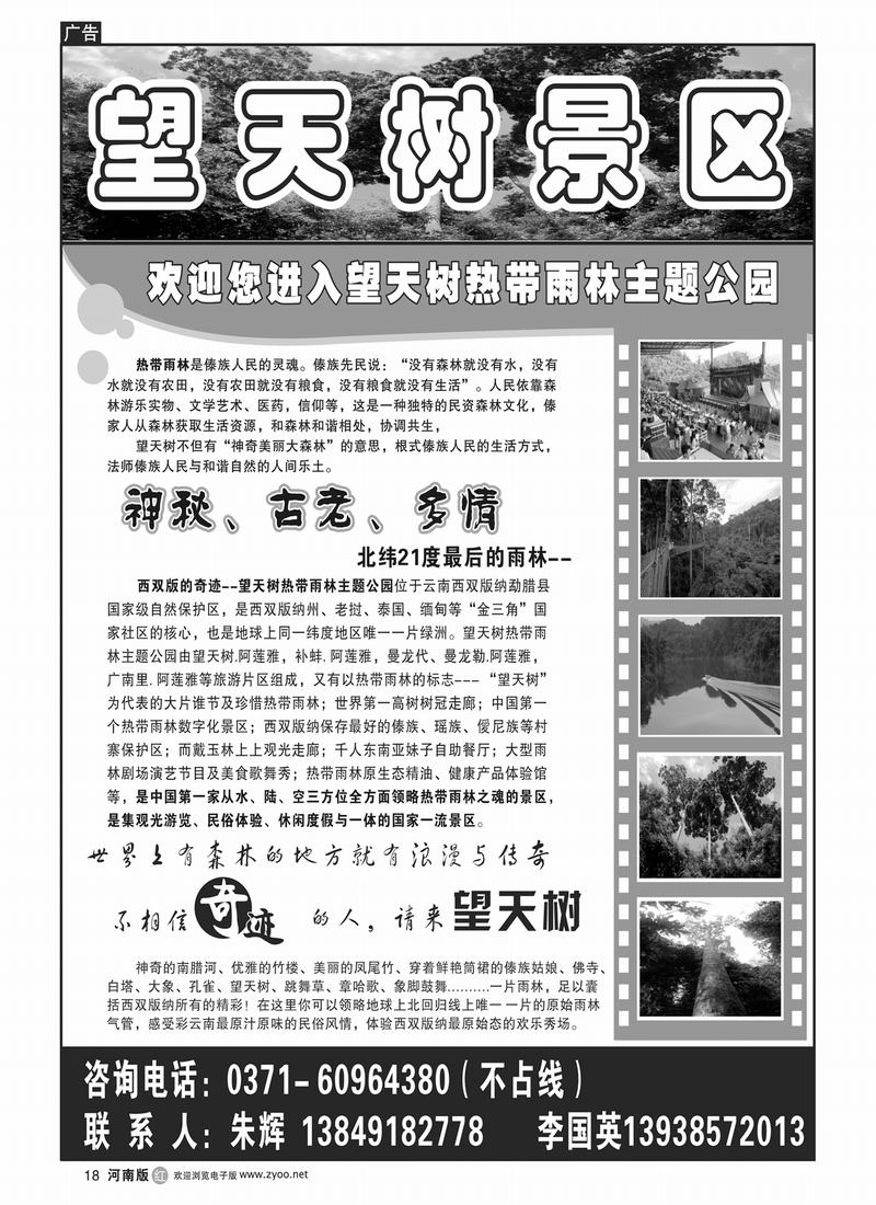 r18云南海外旅游总公司(望天树)3