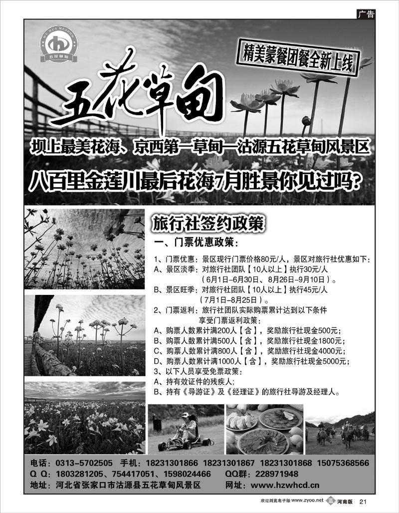 b21 坝上最美花海、京西避暑胜地—沽源五花草甸风景区（河南）
