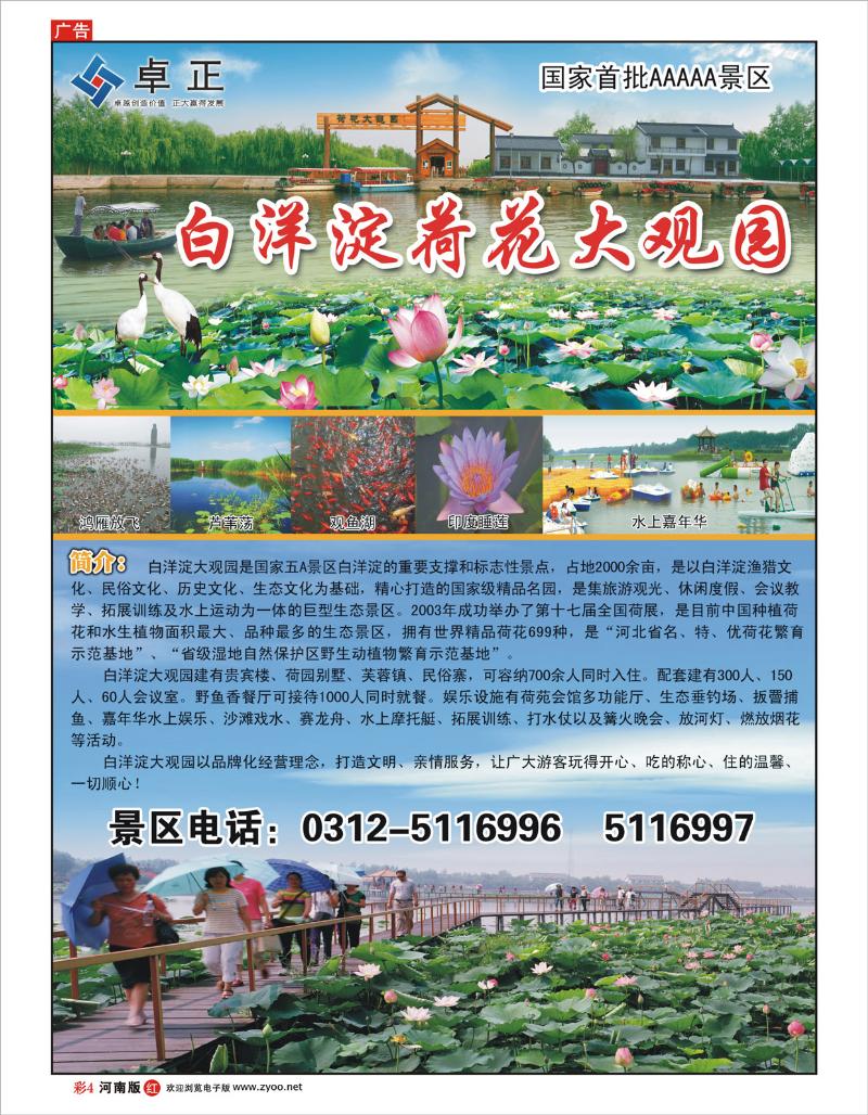 R彩4白洋淀王牌景区荷花大观园