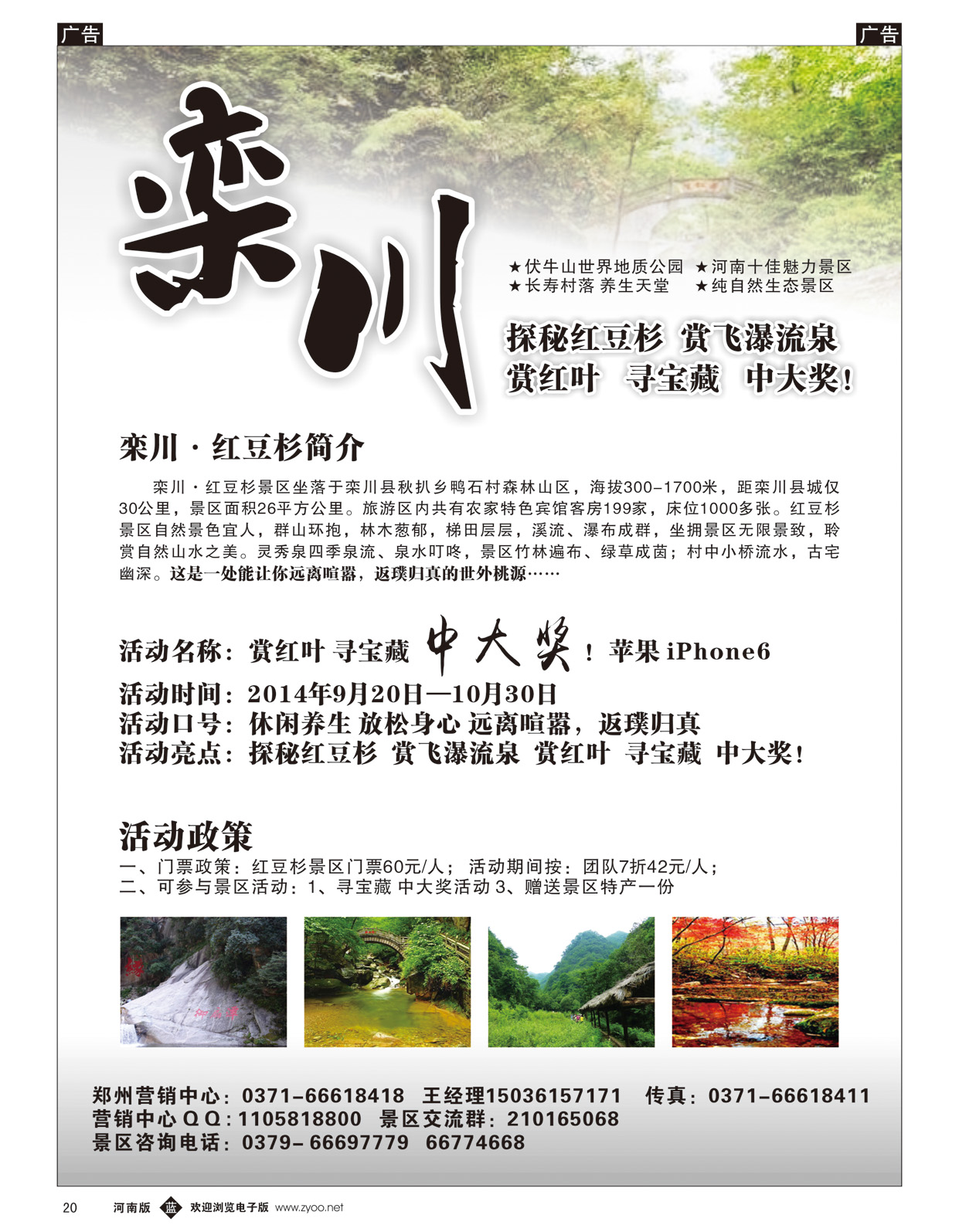 b020 畅行天下 栾川 红豆杉景区