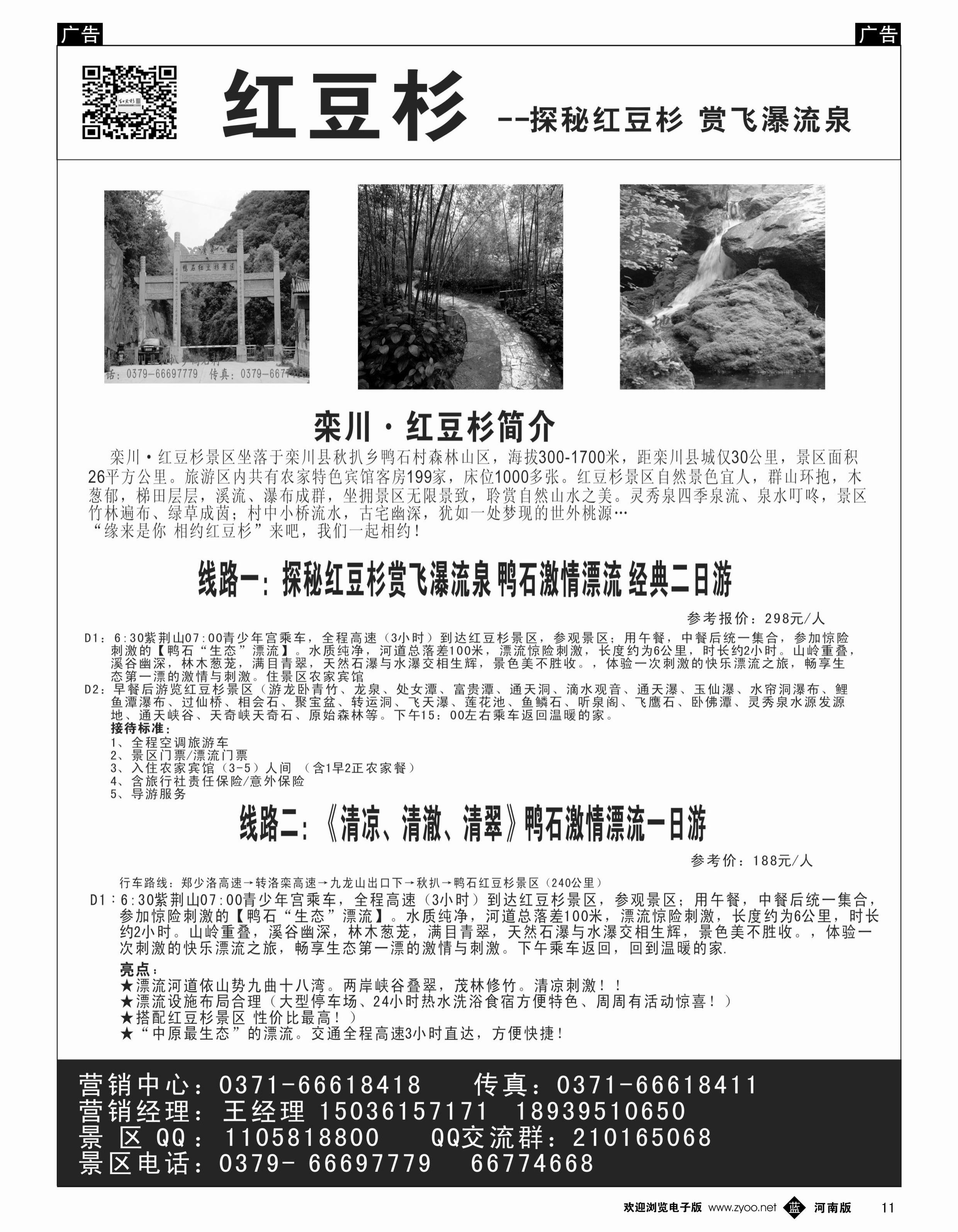 b011 红豆杉