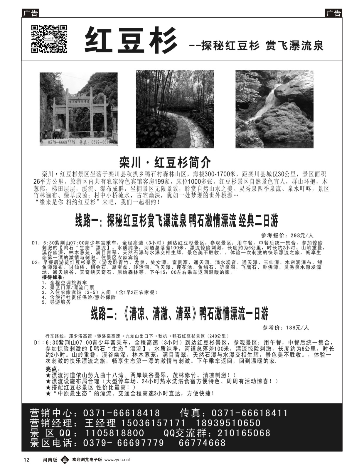 b012 红豆杉