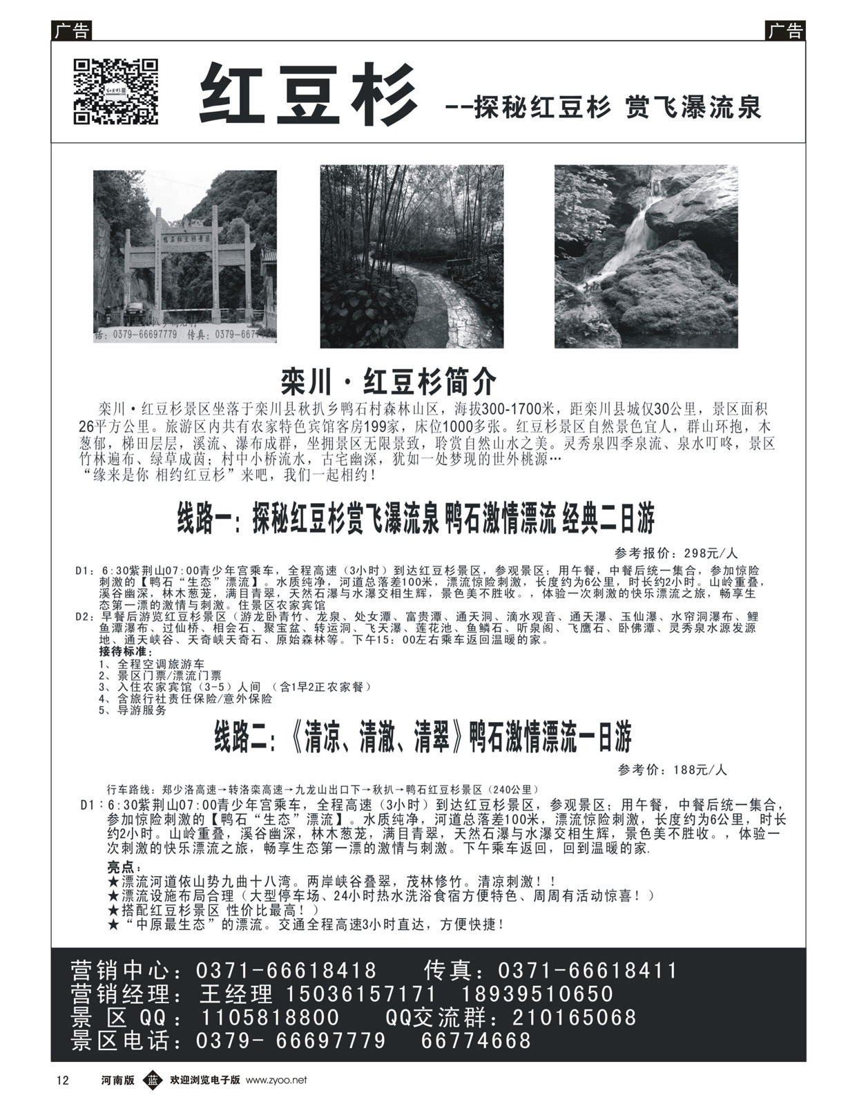 b012 红豆杉