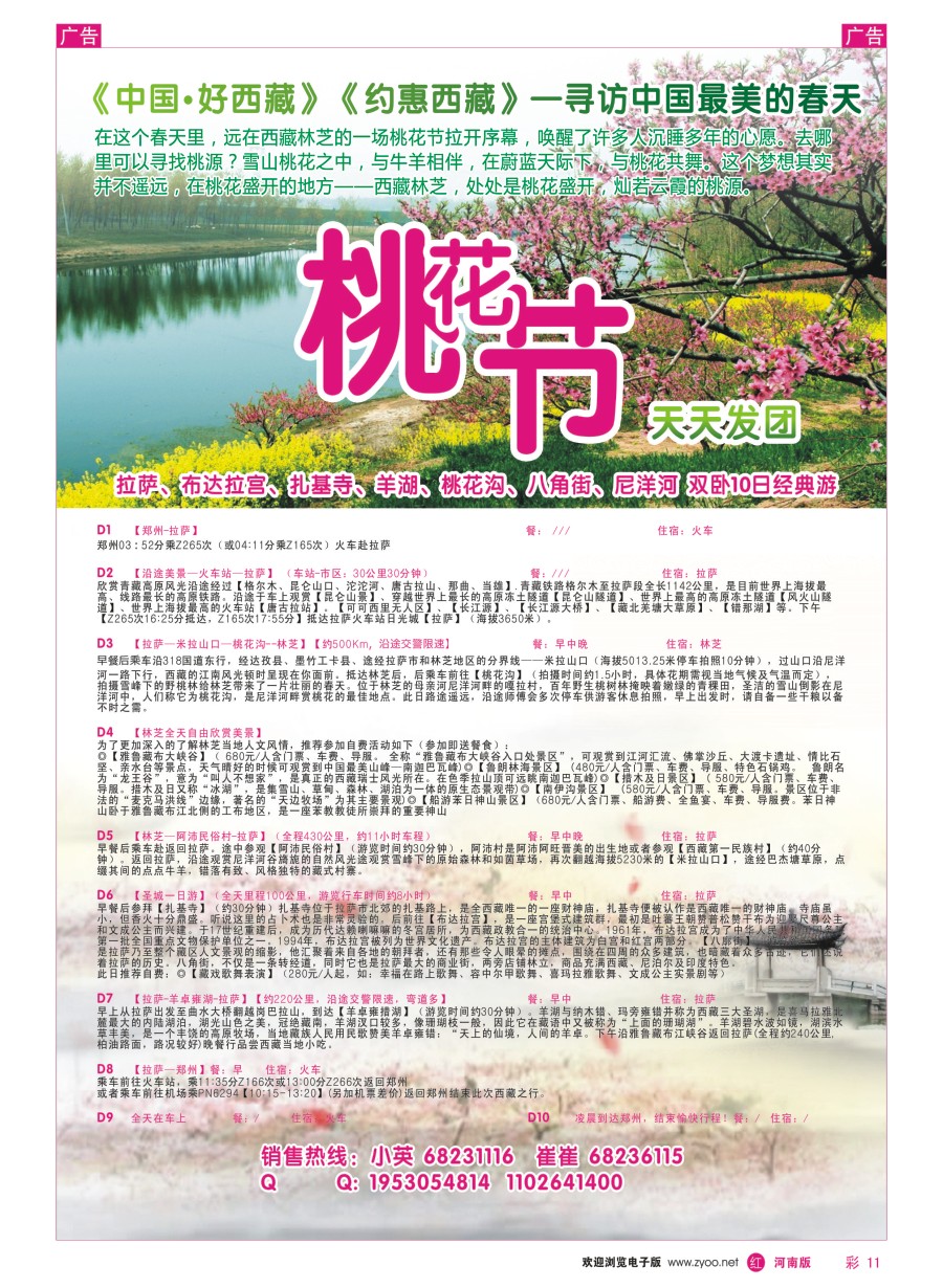 r彩011  中原铁道国旅-西藏桃花节