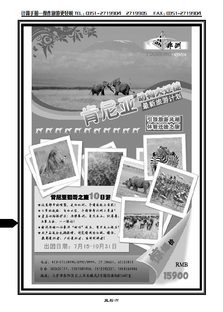 金非洲肯尼亚地接社_p1