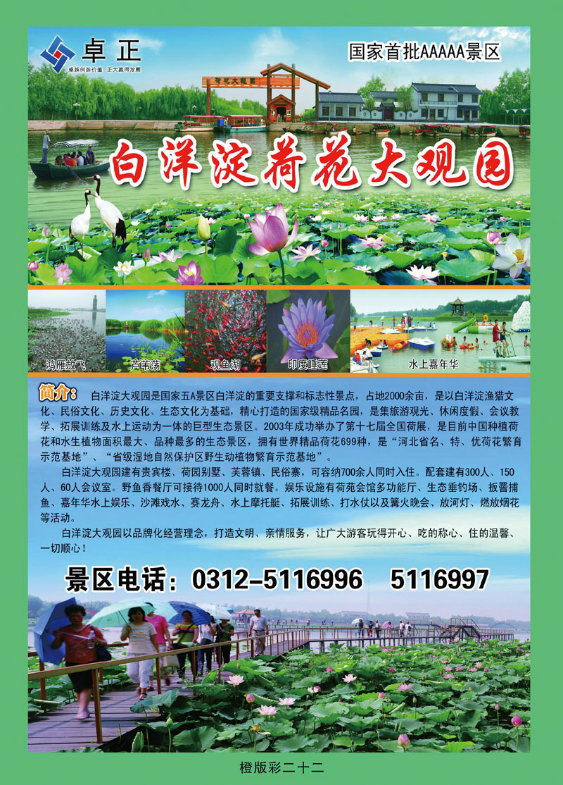 白洋淀王牌景区荷花大观园
