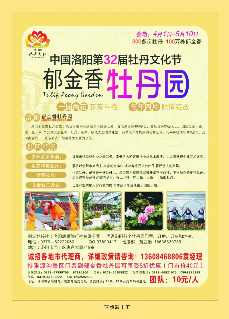 355蓝彩15 洛阳郁金香牡丹园