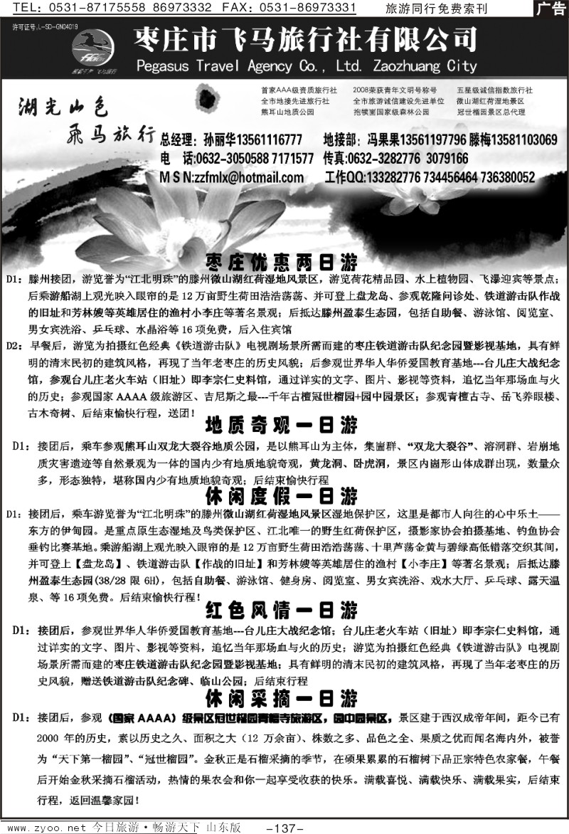 137p枣庄飞马旅行社
