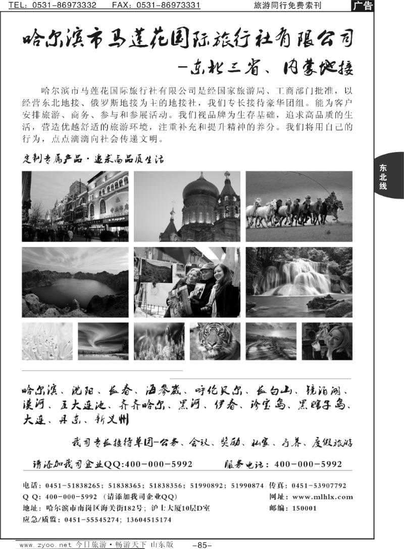 85p哈尔滨市马莲花国际旅行社有限公司