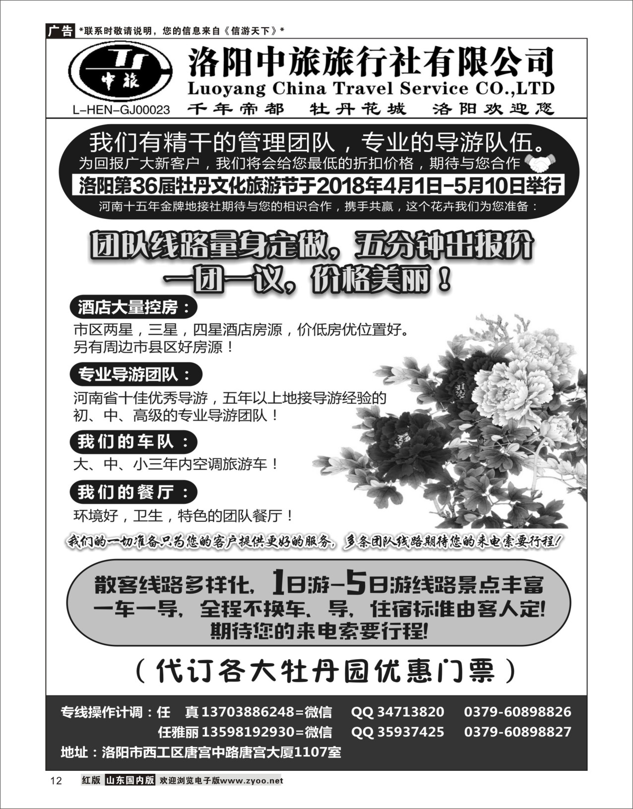 12 河南金牌地接-洛阳中旅（任真） 河南专线