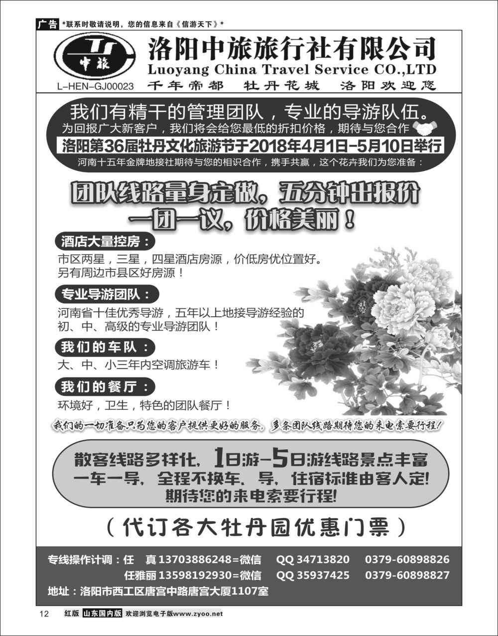 P12 河南金牌地接-洛阳中旅（任真）河北专线