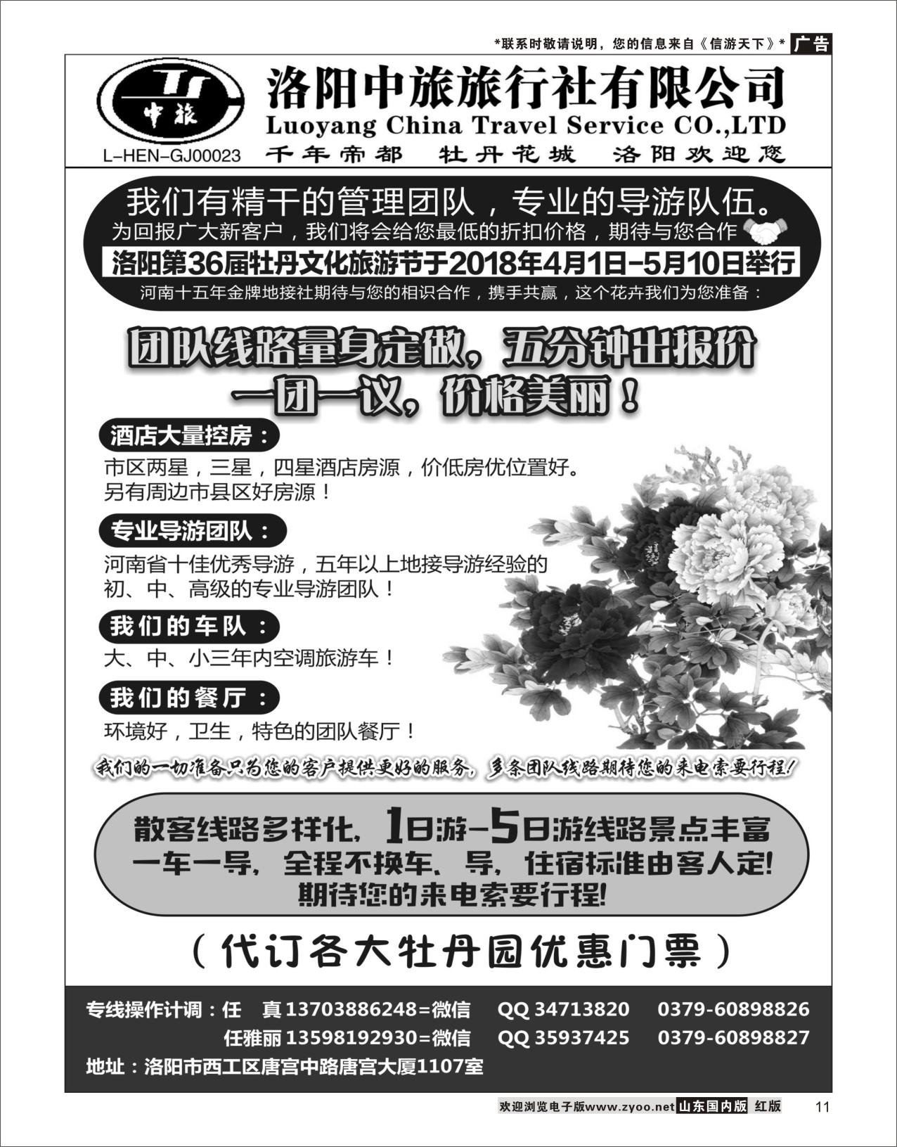 11河南金牌地接-洛阳中旅（任真）河南专线