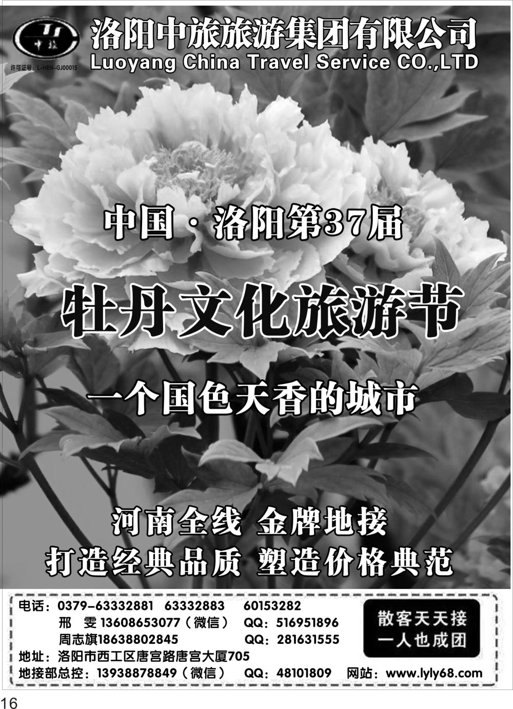 P16 洛阳市中旅旅行社河南全线地接