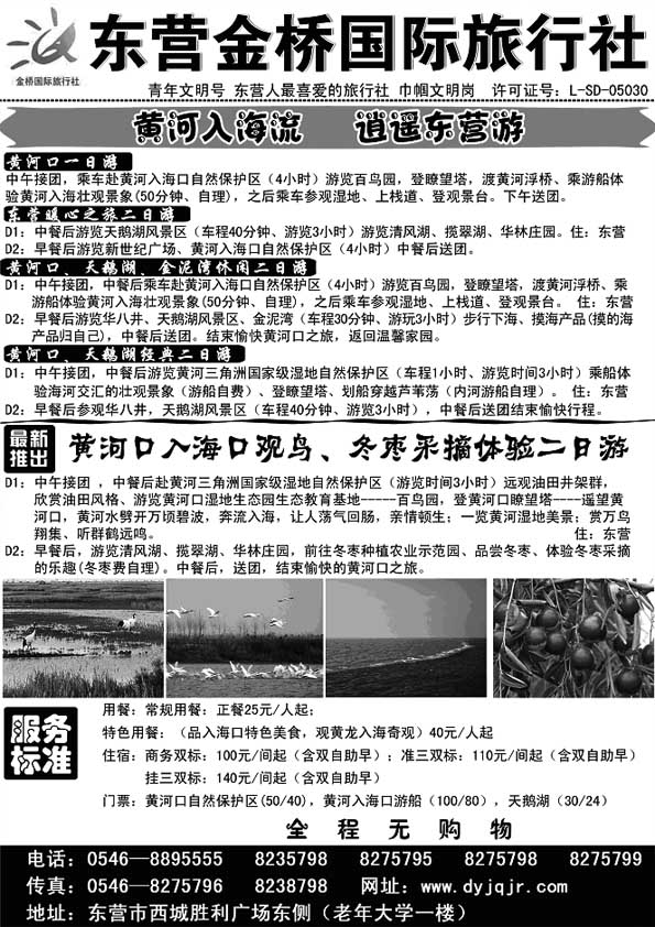 AP62东营金桥国际旅行社