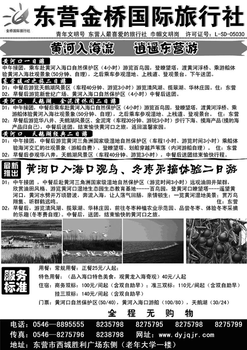 [A41]东营金桥