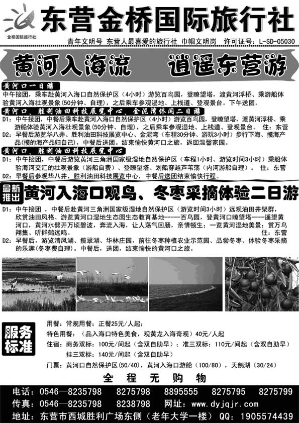 AP20东营金桥国际旅行社