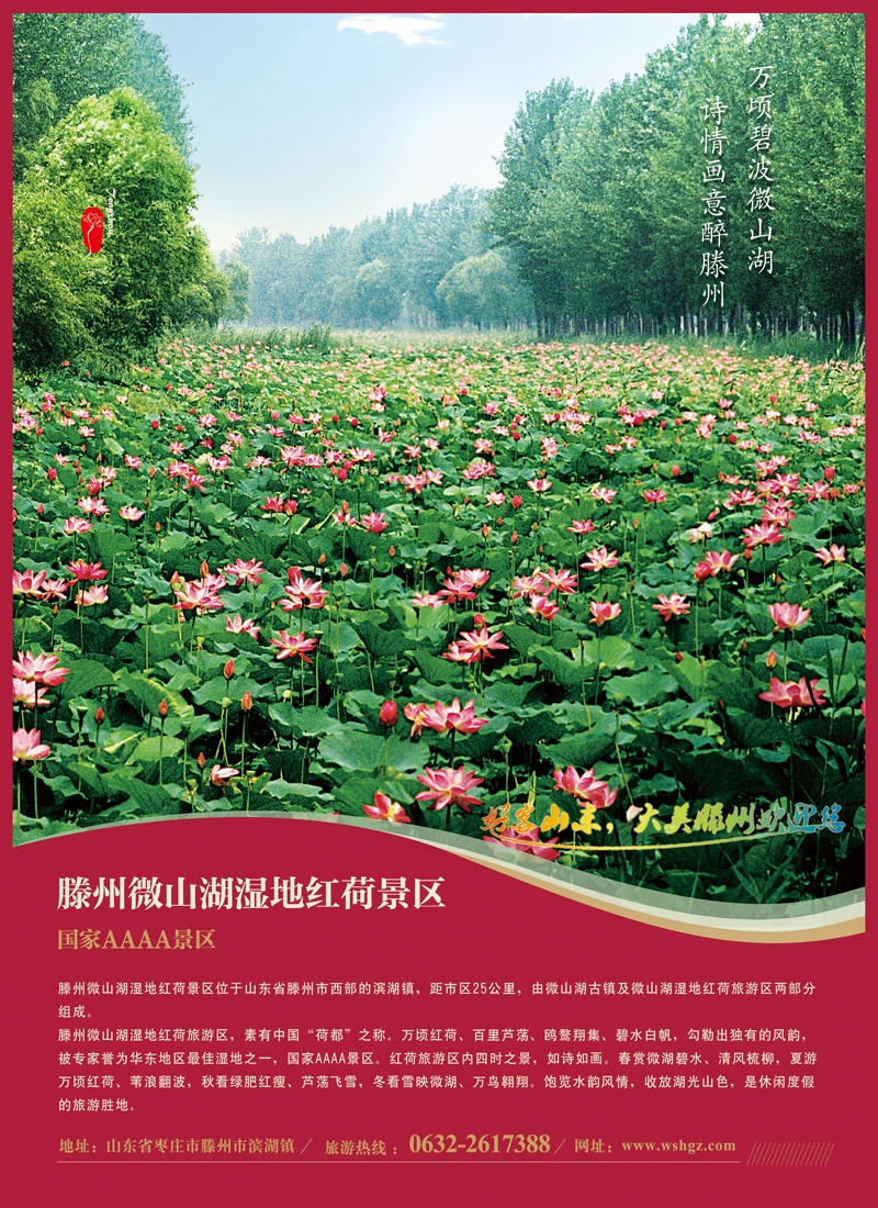 A彩002  山东省滕州市微山湖湿地红荷风景区