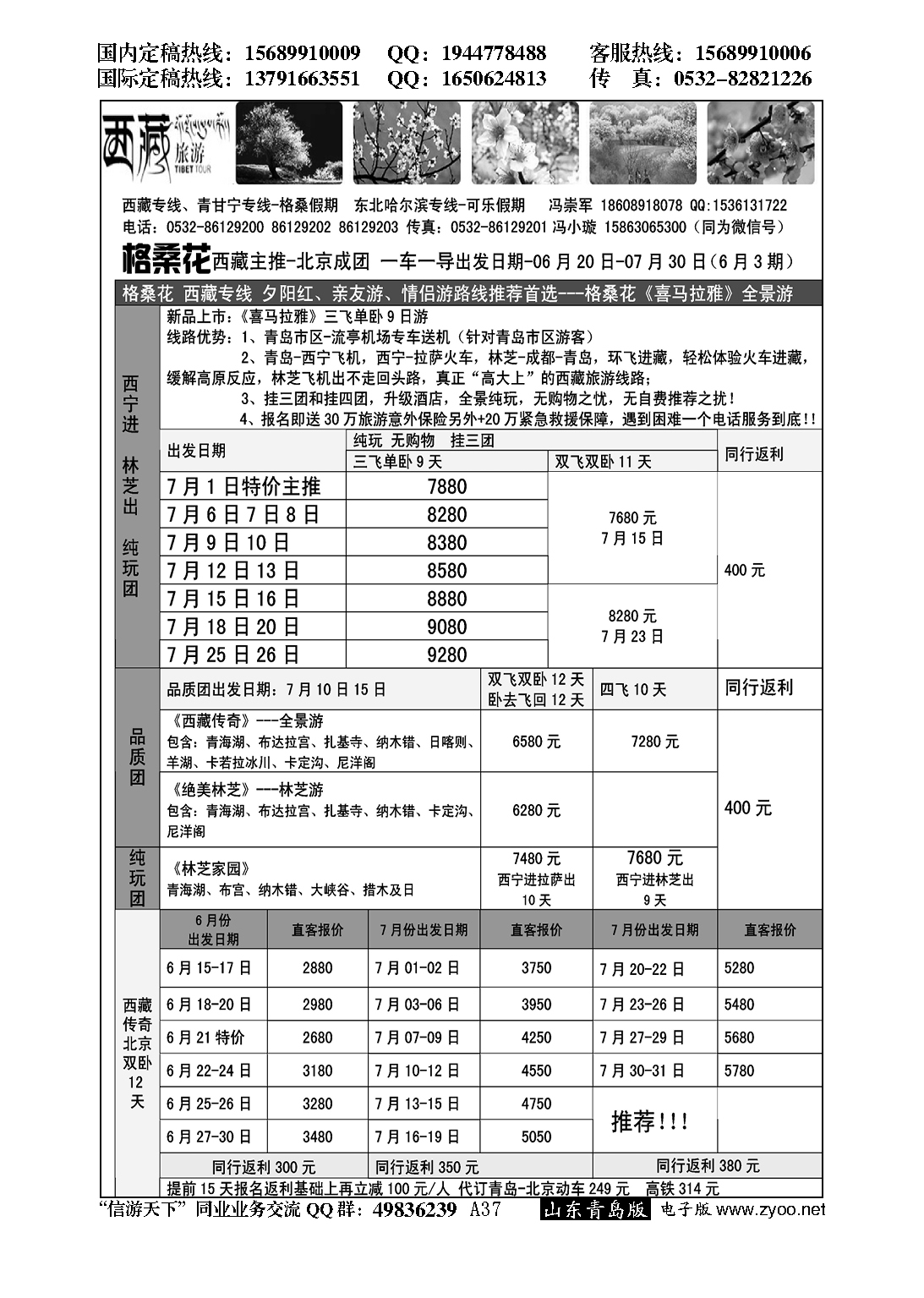 A黑037格桑假期