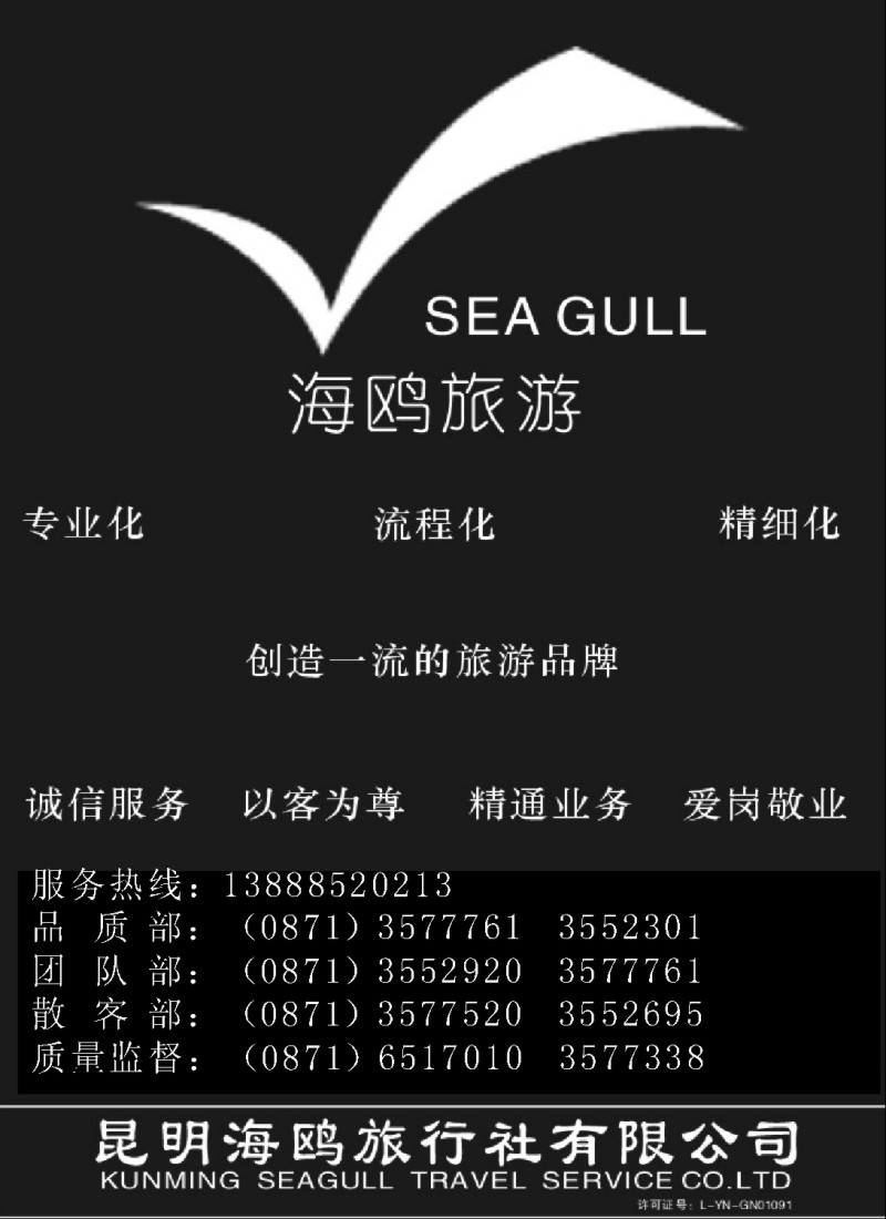 s103 海鸥旅行社有限公司-形象宣传