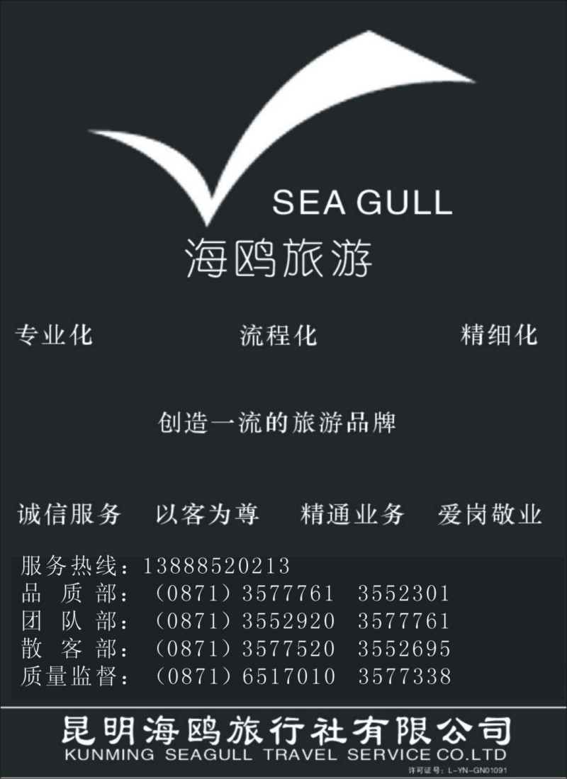 s54 海鸥旅行社有限公司-形象宣传