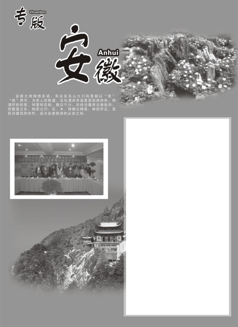 n43 安徽专版