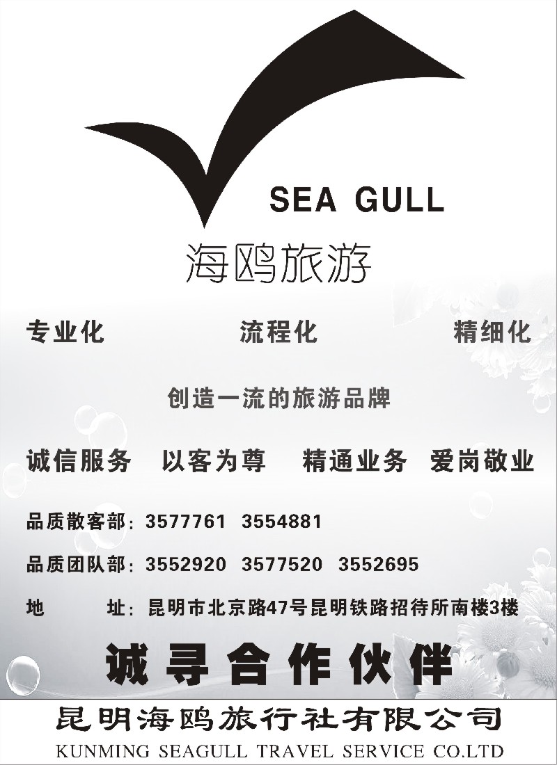 S122 海鸥旅行社有限公司：形象宣传