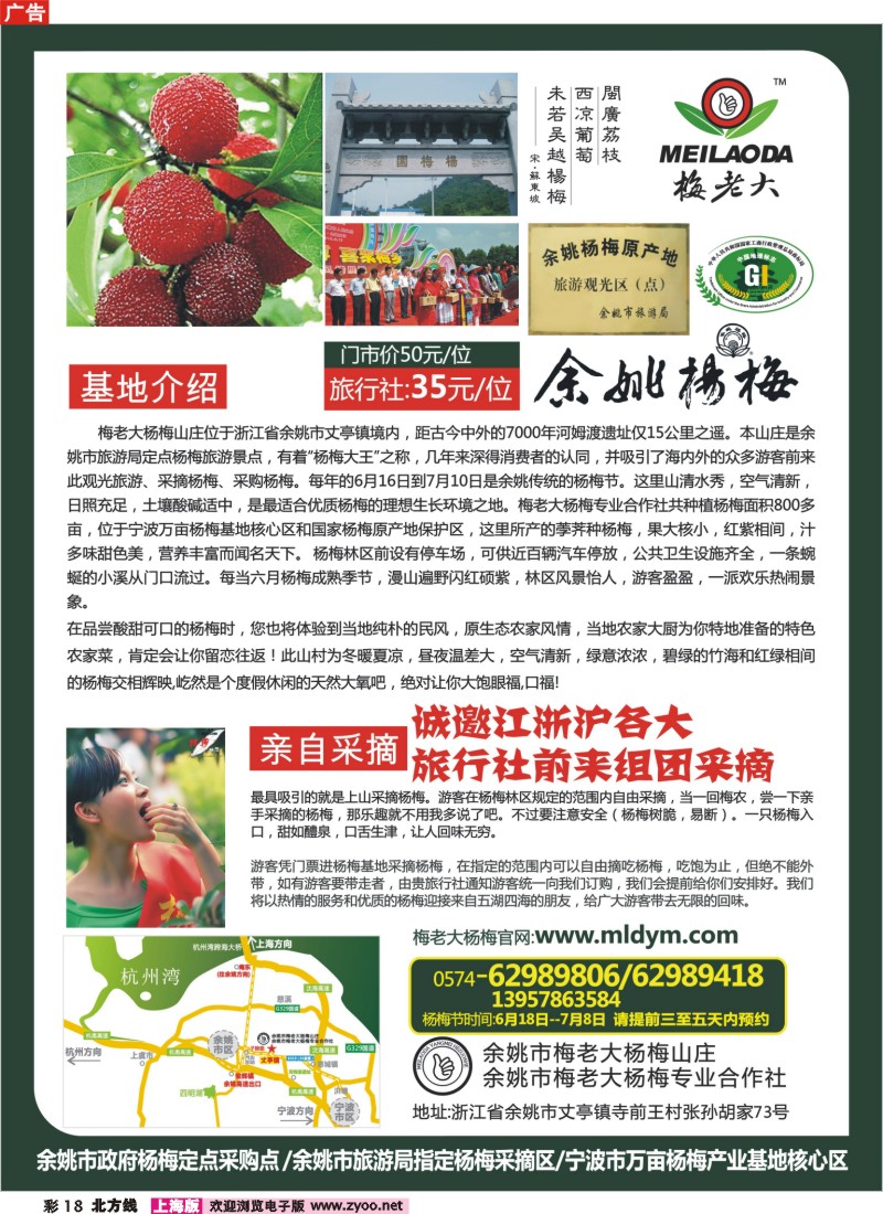 n彩18 余姚梅老大杨梅采摘季