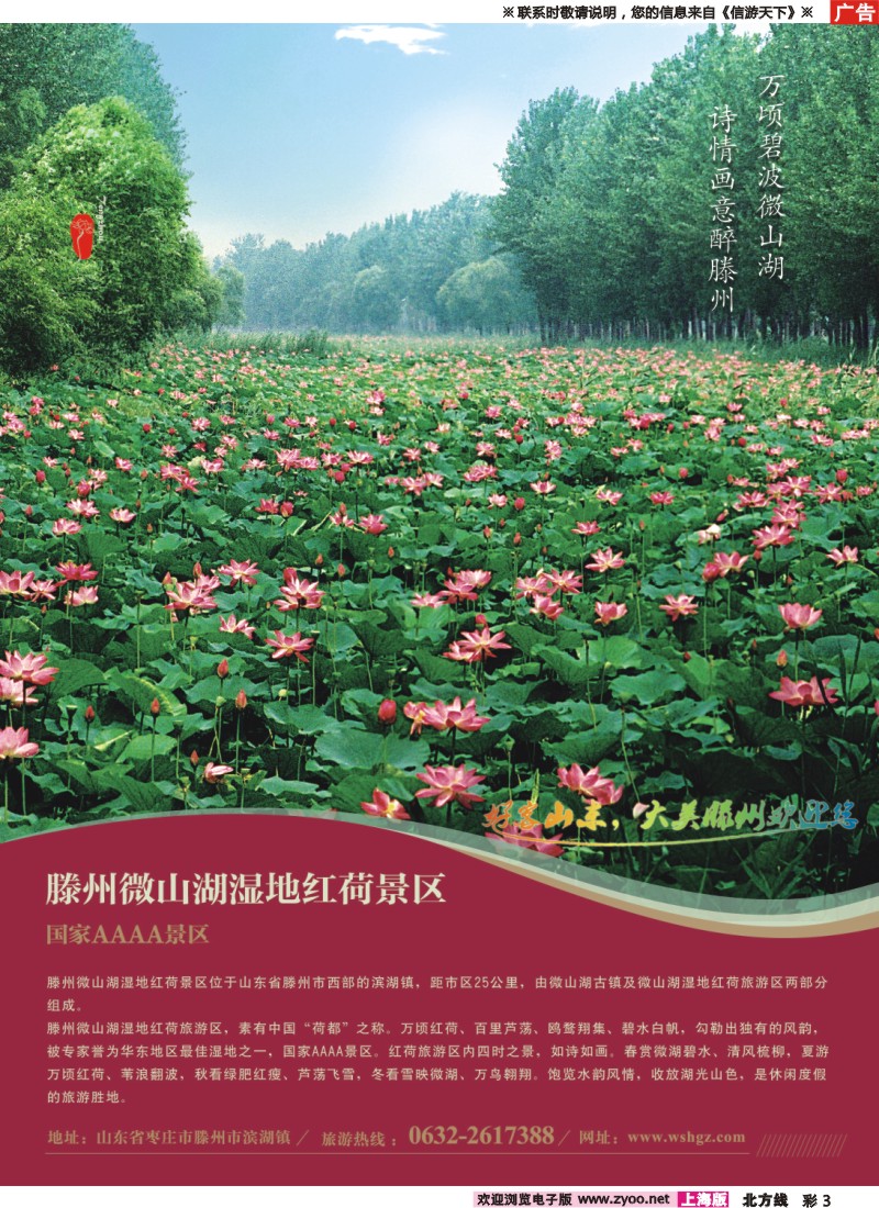 n彩3 山东省滕州市微山湖湿地红荷风景区