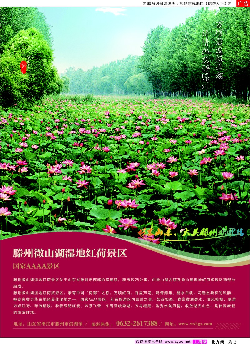 n彩3 山东省滕州市微山湖湿地红荷风景区