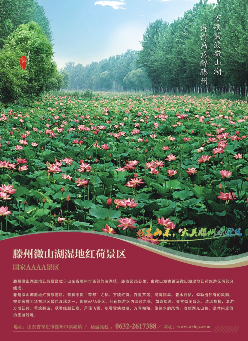 n彩3 山东省滕州市微山湖湿地红荷风景区