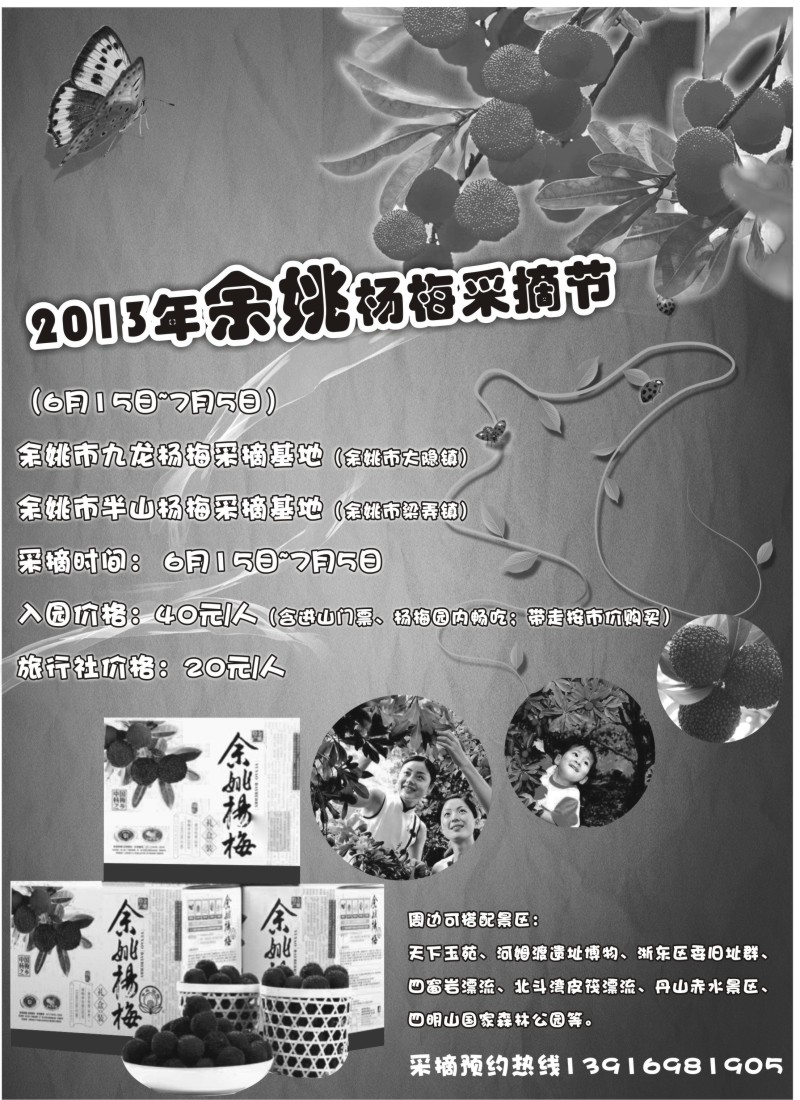 n3 2013年余姚杨梅采摘节