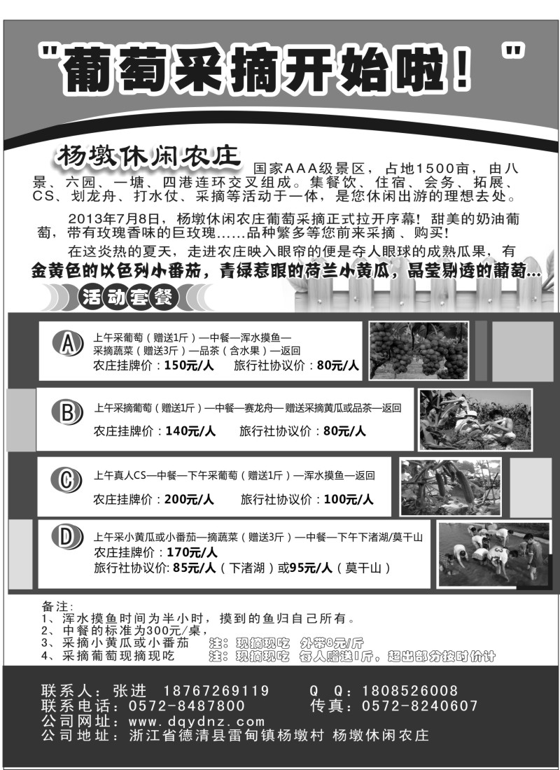 n28 德清杨墩农庄采摘一日游