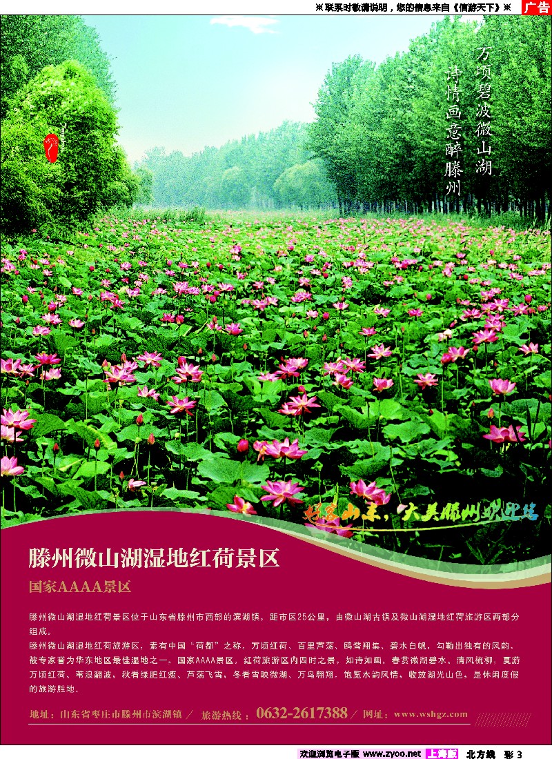 n彩3 山东省滕州市微山湖湿地红荷风景区
