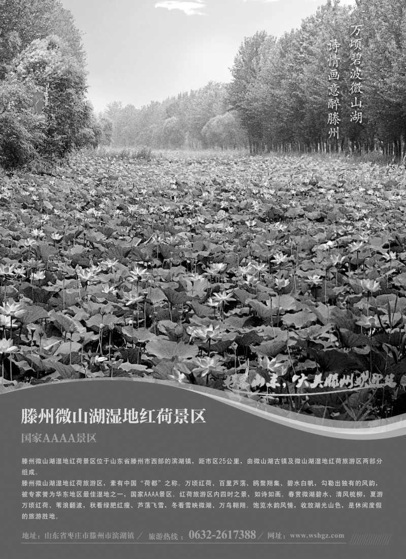 n97 山东省滕州市微山湖湿地红荷风景区
